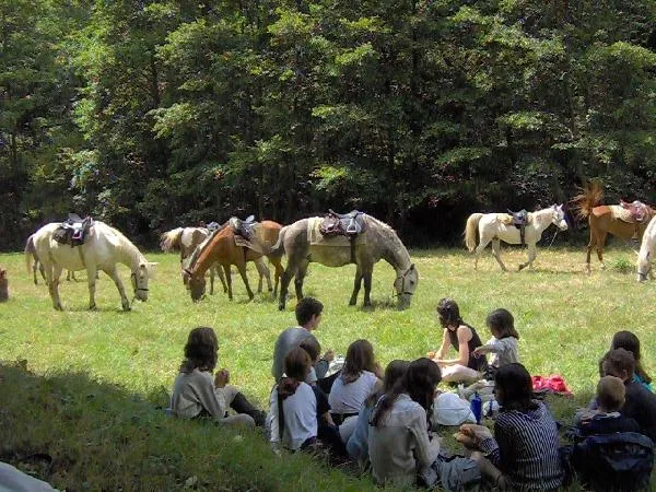 Image qui illustre: Ferme Equestre Du Badour - Balade À Cheval