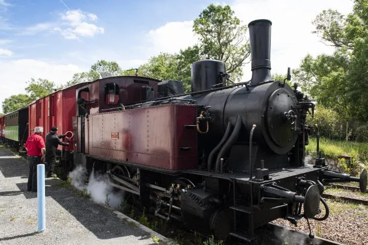 Image qui illustre: Le Train des Mouettes, un joli voyage dans le temps !