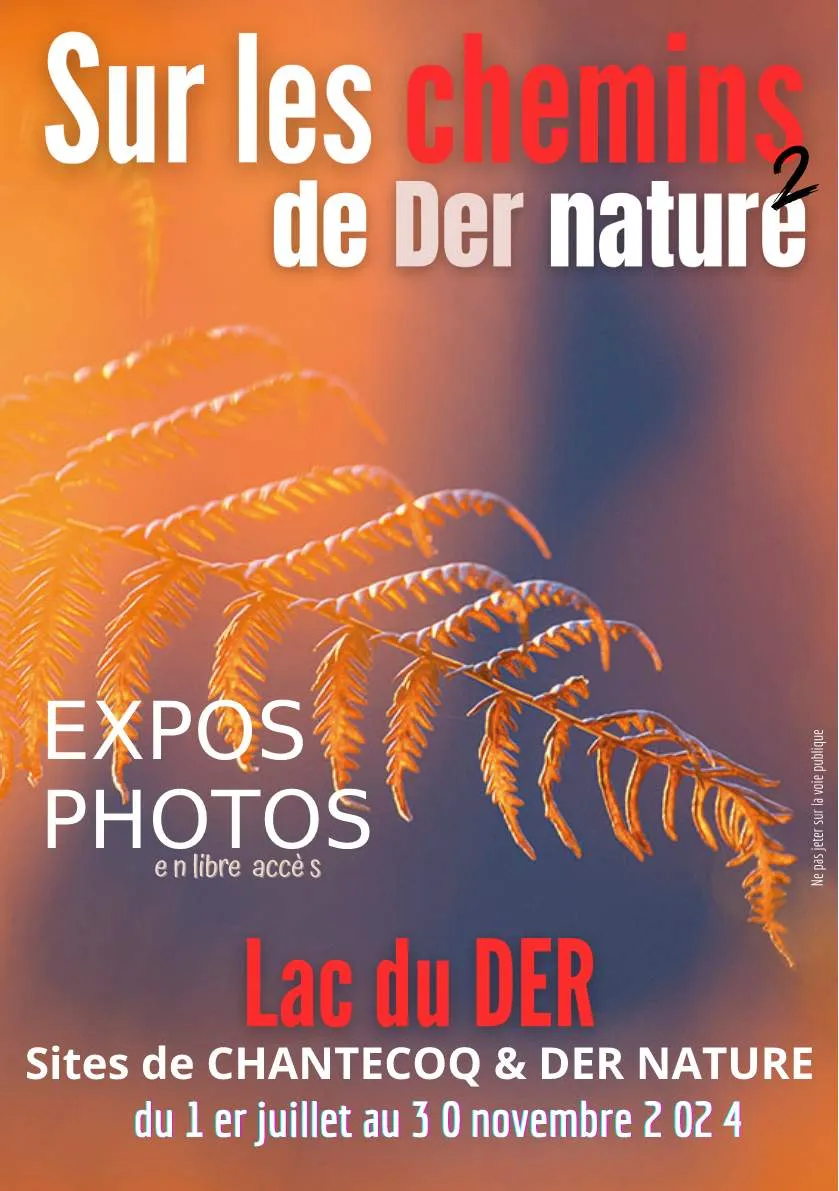 Image qui illustre: Expositions "sur Les Chemins De Der Nature 2" à Giffaumont-Champaubert - 0