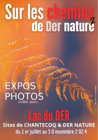 Image qui illustre: Expositions "sur Les Chemins De Der Nature 2"