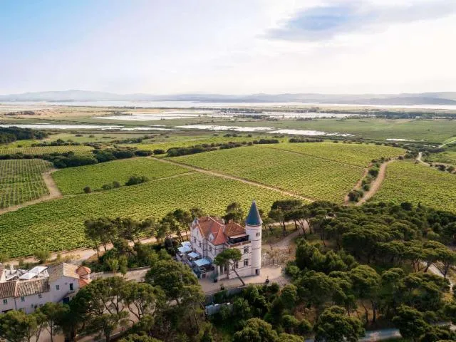 Image qui illustre: Château Capitoul