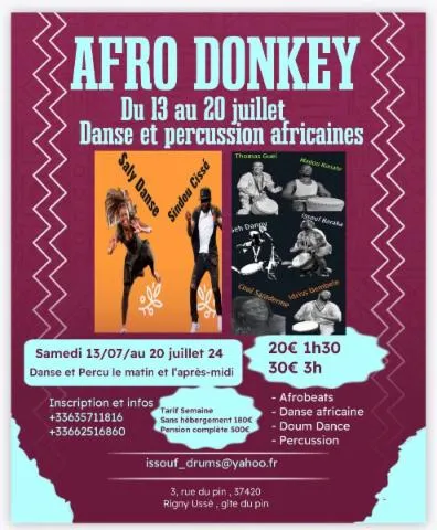Image qui illustre: Afro Donkey