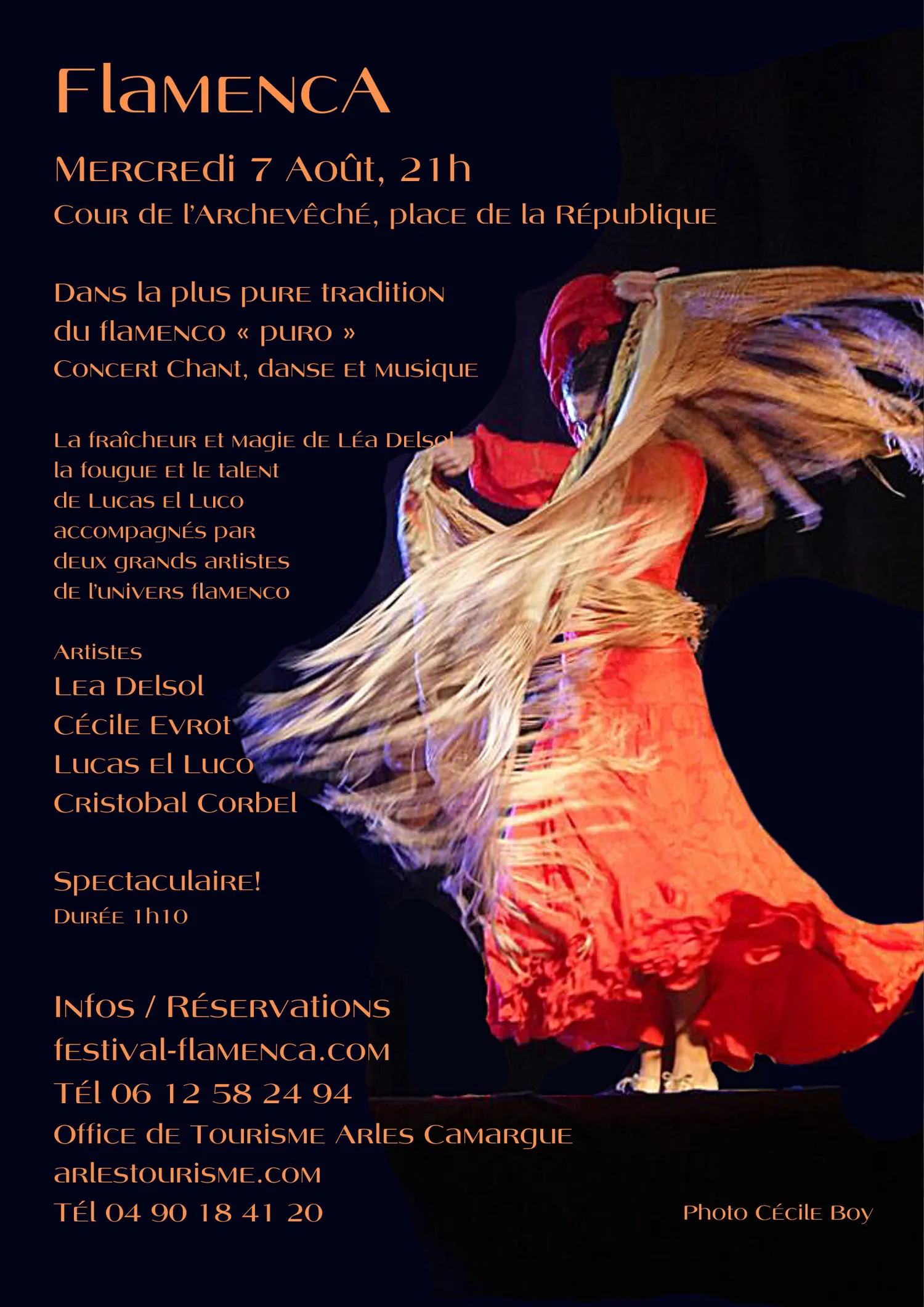 Image qui illustre: Dans la pure tradition du flamenco puro à Arles - 0