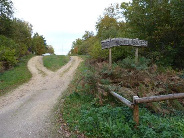 Image qui illustre: Chemin Des 4 Bornes - Circuit N°16 à Dangé-Saint-Romain - 0