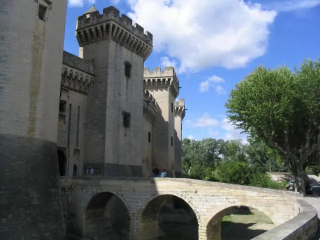 Image qui illustre: Château De Tarascon