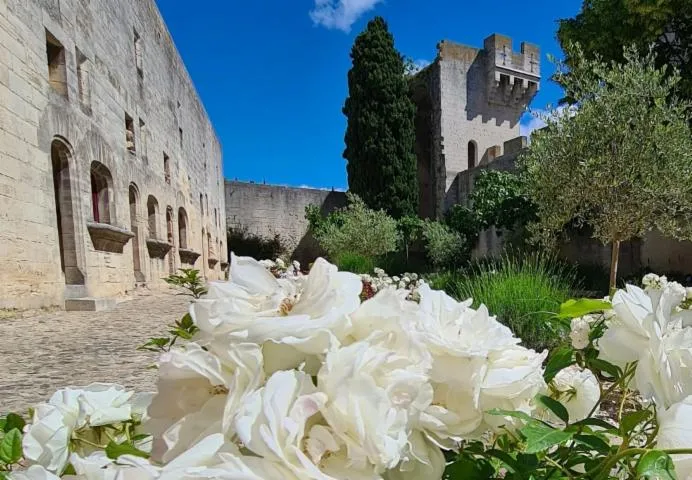 Image qui illustre: Château De Tarascon