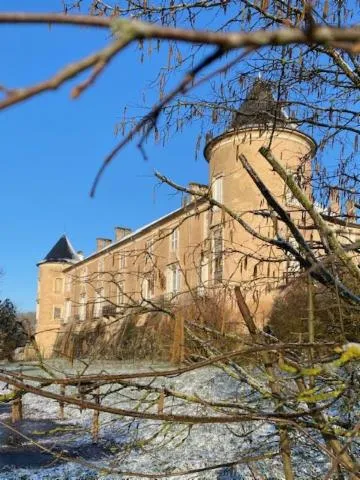 Image qui illustre: Visite Guidée - Château De Ville-au-val