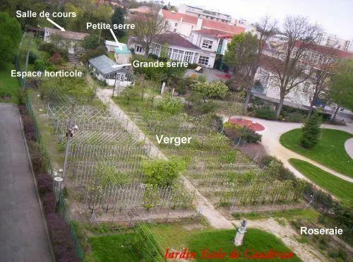 Image qui illustre: Visite guidée du jardin école de Caudéran