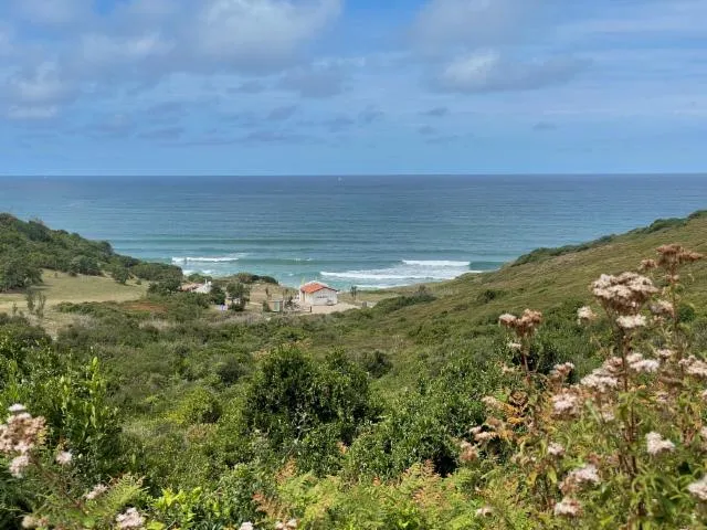 Image qui illustre: Plage d'Erretegia