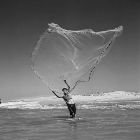 Image qui illustre: Fonds Dieuzaide  Un voyage photographique