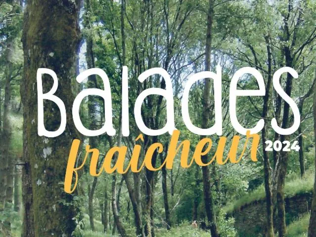 Image qui illustre: Balades Fraîcheur - IL Était Une Fois Le Moulin De Bru