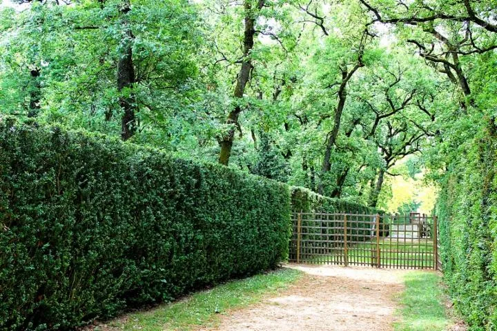 Image qui illustre: Château De Merville