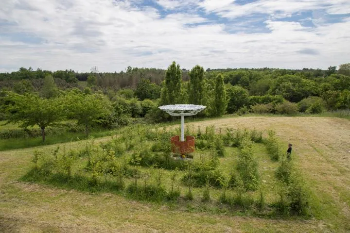 Image qui illustre: La Forêt D'art Contemporain : Ronde Des Ombelles, Oeuvre N°21