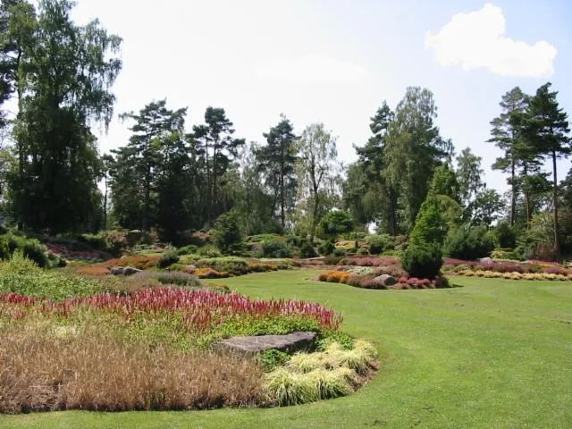 Image qui illustre: Les Jardins De Callunes