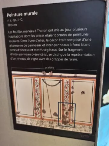 Image qui illustre: Café Découverte À La Galerie De L'histoire