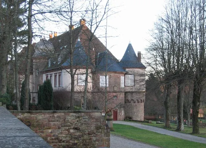 Image qui illustre: Château de Birkenwald