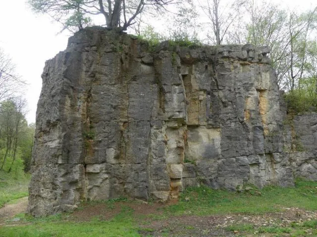 Image qui illustre: Falaise À Audun-le-tiche (site D'escalade)