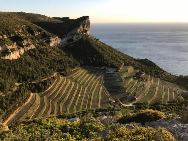 Image qui illustre: Clos Sainte-Magdeleine