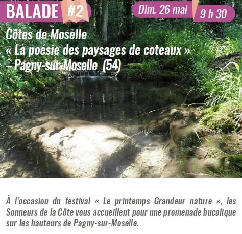 Image qui illustre: Balade "la Poésie Des Paysages De Coteaux" – 50 Ans Du Pnrl à Pagny-sur-Moselle - 0