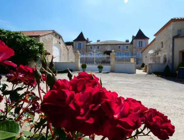 Image qui illustre: Château De Gaudou