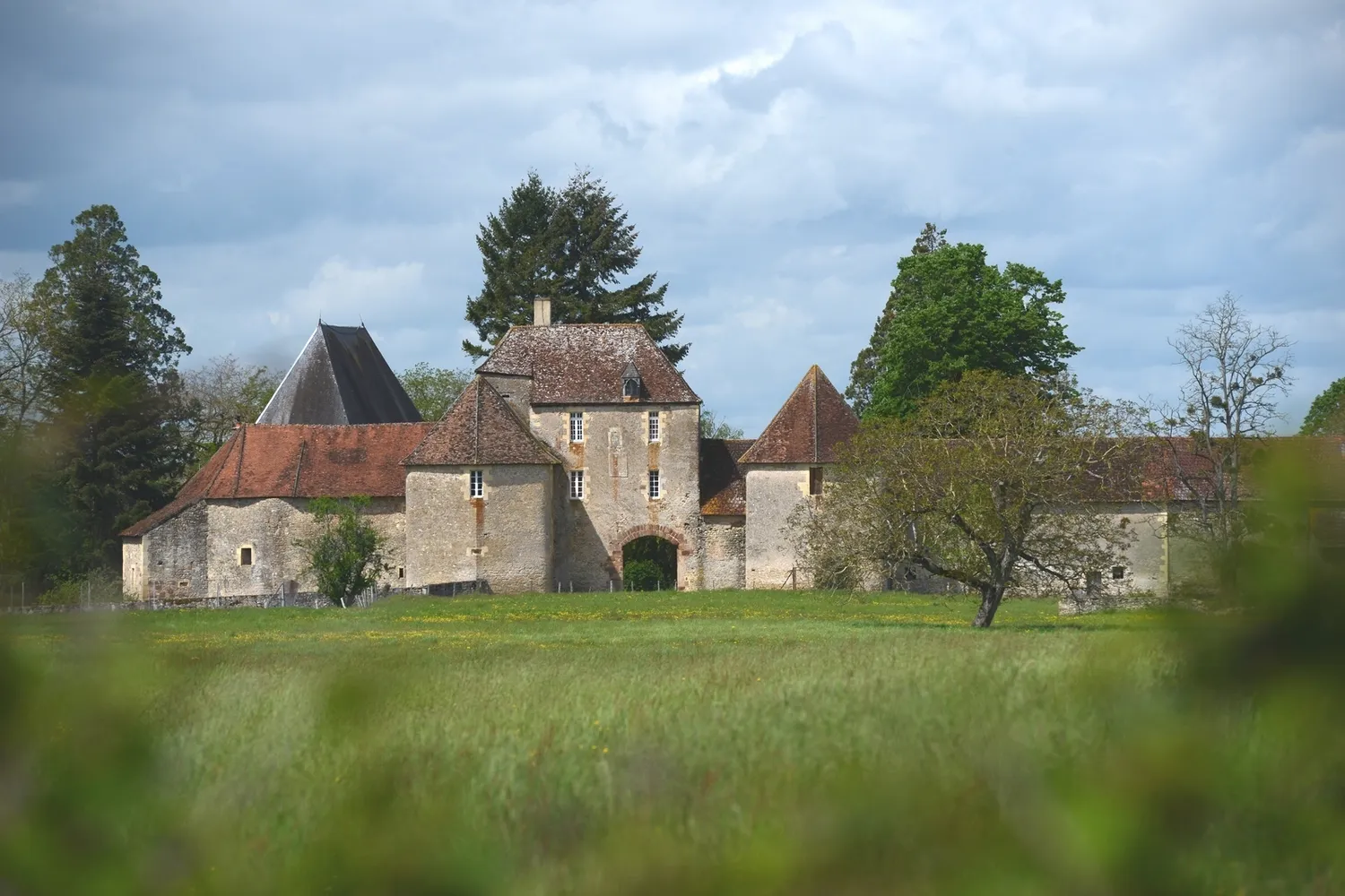 Image qui illustre: Visite du château de Druy-Parigny à Druy-Parigny - 0