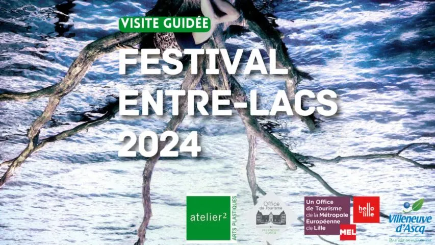Image qui illustre: Festival Entre-Lacs