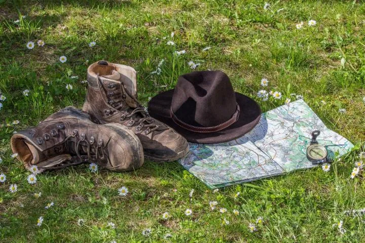 Image qui illustre: De La Motte À Machecou Et Sentier De L'effarvatte