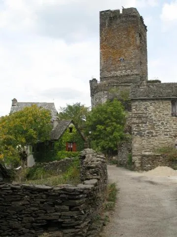 Image qui illustre: Château De Valon