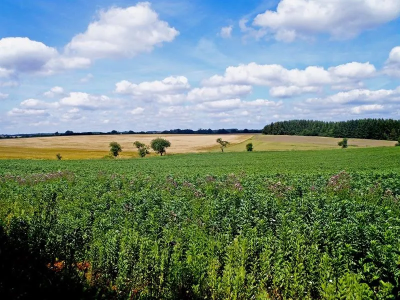 Image qui illustre: Sentier Minier à Aumetz - 0