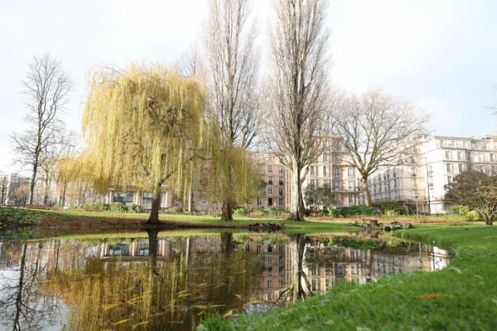 Image qui illustre: Square Saint-Roch