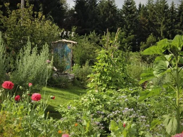 Image qui illustre: Rencard Nature : Visite Guidée 'créer Un Jardin Esthétique Et Écologique'