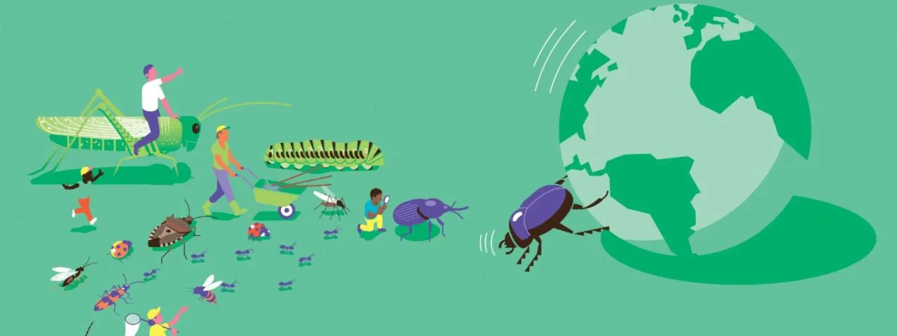 Image qui illustre: Exposition Au Foyer Rural De Concots: Les Insectes Au Secours De La Planète