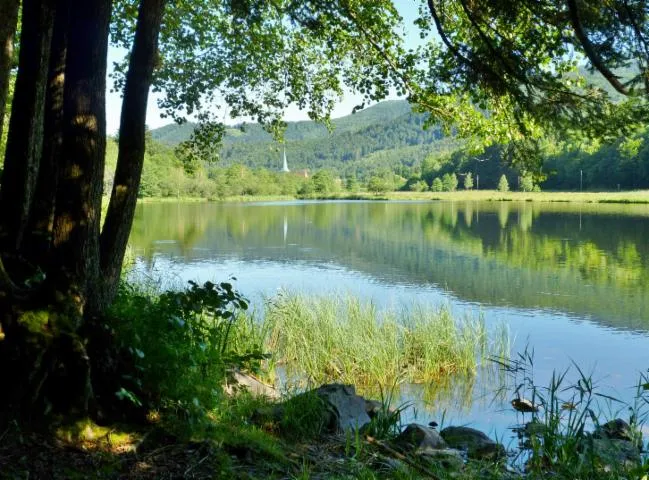 Image qui illustre: Lac De Sewen