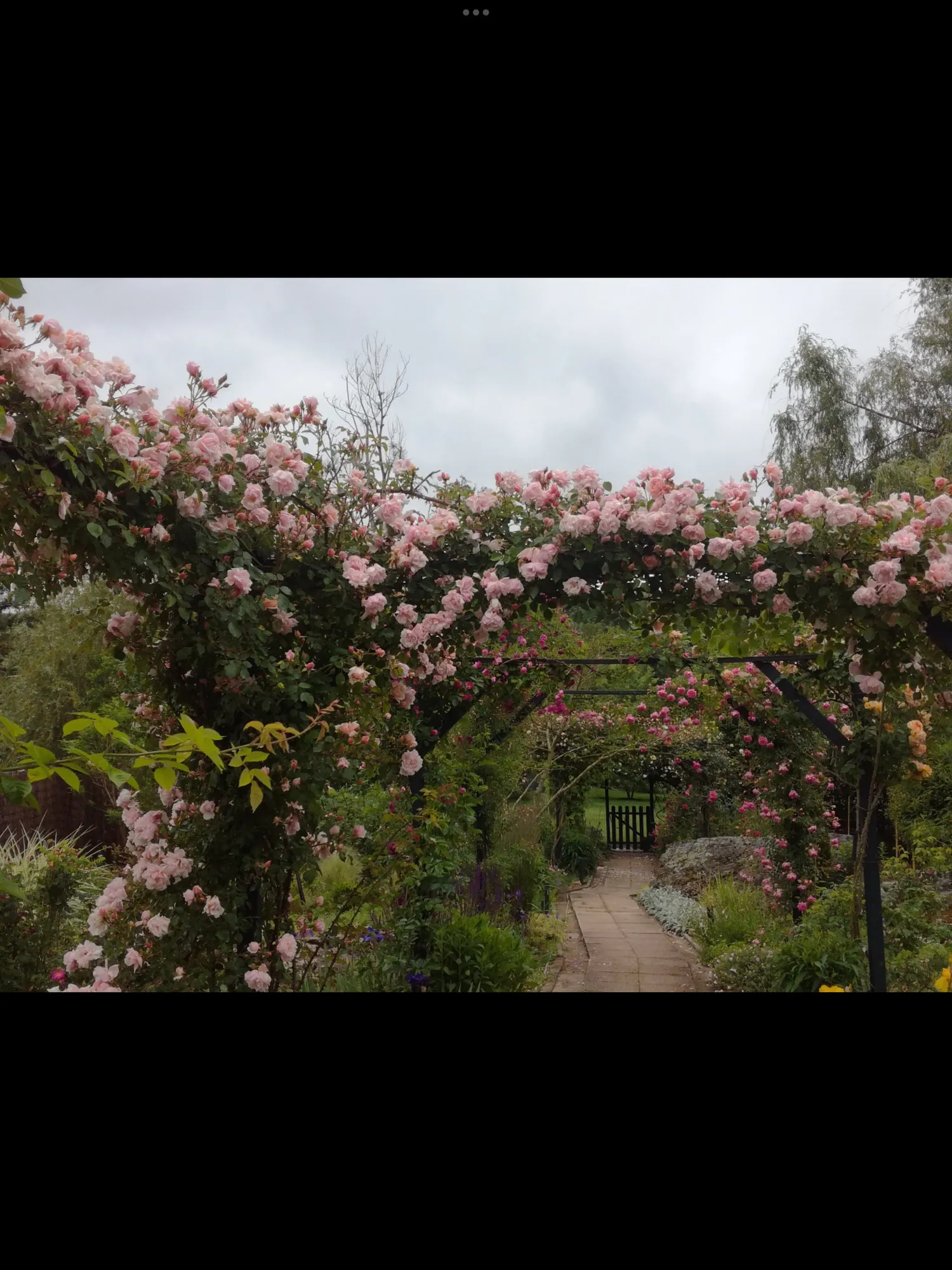 Image qui illustre: Visite du jardin des Glandelles à Bagneaux-sur-Loing - 0