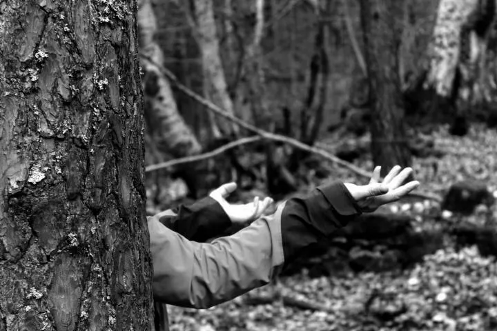 Image qui illustre: Atelier immersif danse et paysage : explorer le dialogue entre paysages et corps, ressentir les paysages emblématiques des Causses et gorges du Tarn