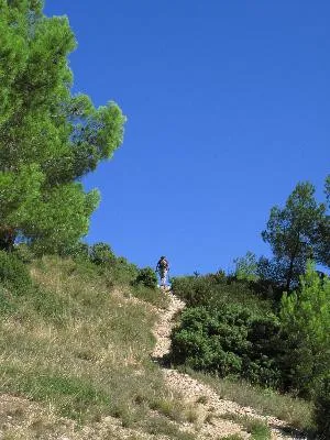 Image qui illustre: Alpilles : Mouries - Les caisses de Jean-Jean à Mouriès - 0