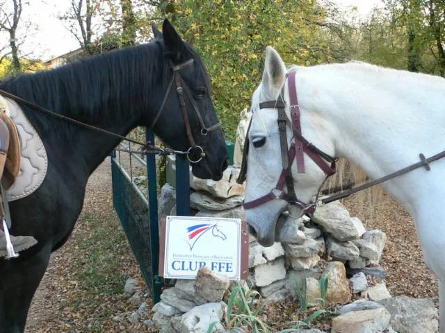 Image qui illustre: Centre Equestre L'étrier Du Causse