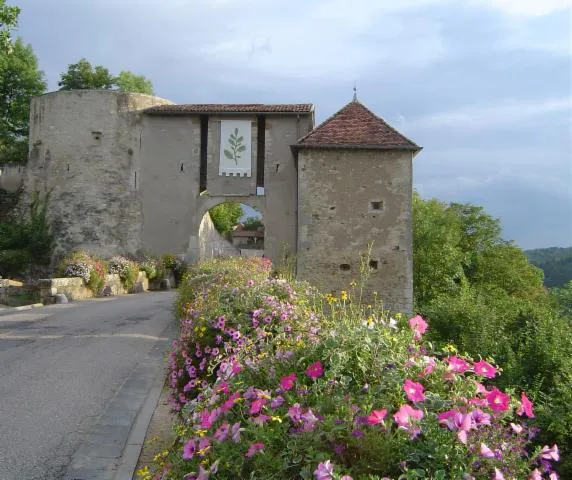 Image qui illustre: Visite guidée d'une cité médiévale