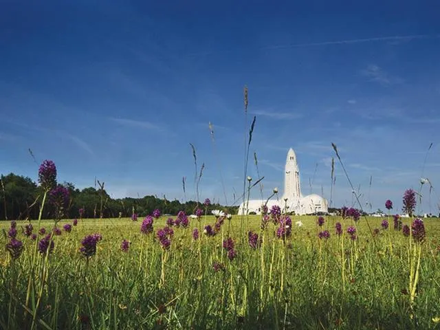 Image qui illustre: Verdun Forêt D’exception®