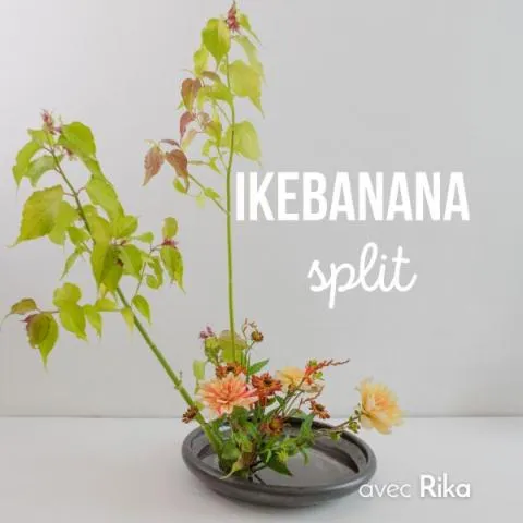 Image qui illustre: Découvrez l'Ikebana moribana