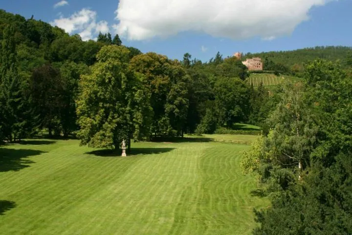 Image qui illustre: Visite du parc du manoir de Kintzheim