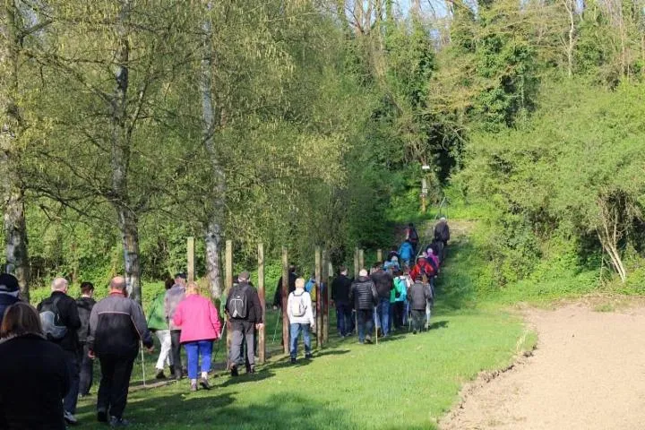 Image qui illustre: Sentier pédestre : Les hauts du canton