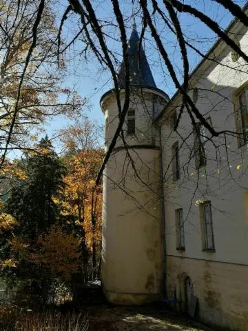 Image qui illustre: Visite guidée du château de Volognat (Ain)