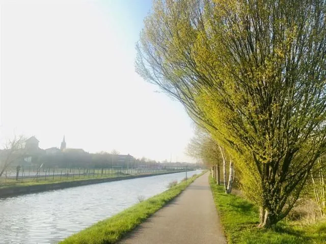 Image qui illustre: Arboretum Le Long Du Canal Des Vosges
