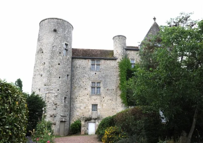 Image qui illustre: Visite du Châteaux de la Mothe
