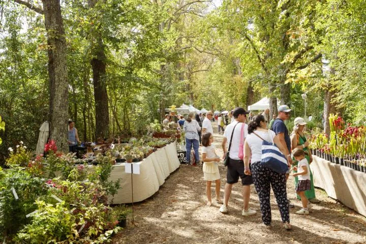 Image qui illustre: Les Botaniques de Chaumont-sur-Loire