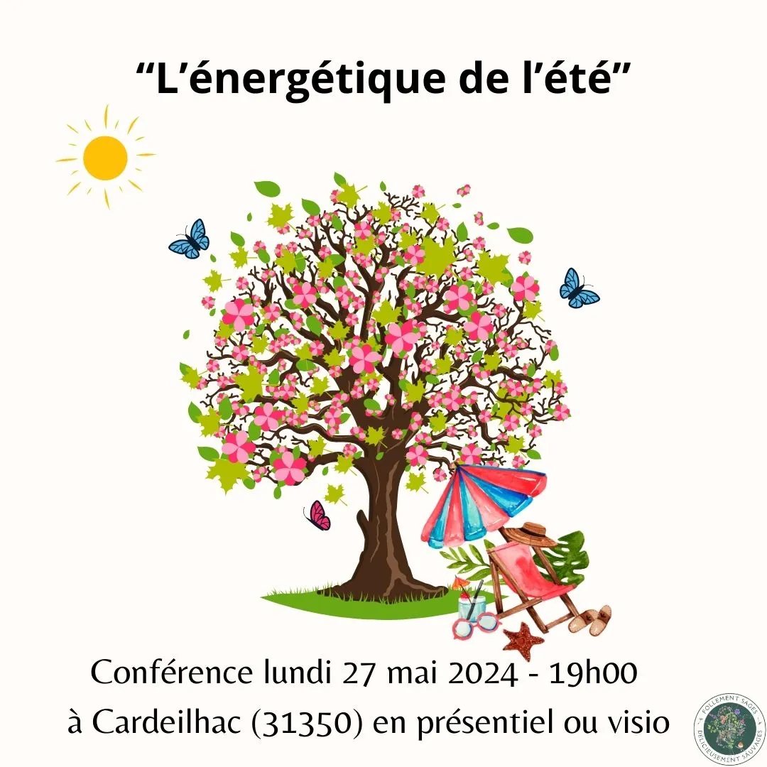 Image qui illustre: Conference : L'energetique De L'ete à Cardeilhac - 0