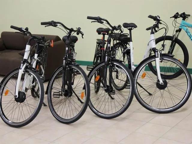 Image qui illustre: Location De Vélos