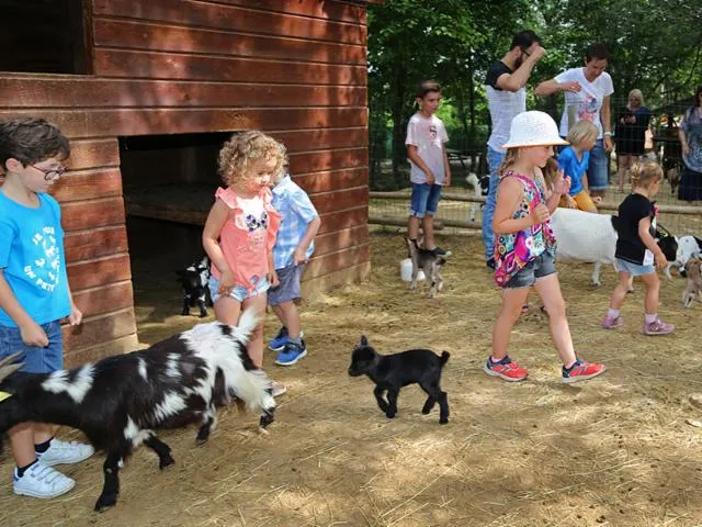 Image qui illustre: Les Petits Fermiers De Lansargues