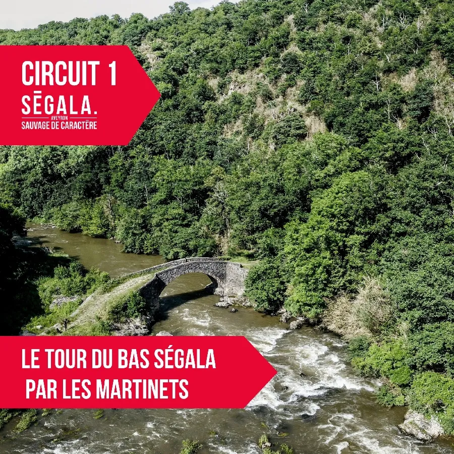 Image qui illustre: Circuit Vtt Vae - Le Tour Du Bas Ségala Par Les Martinets Du Lézert à Le Bas Ségala - 0